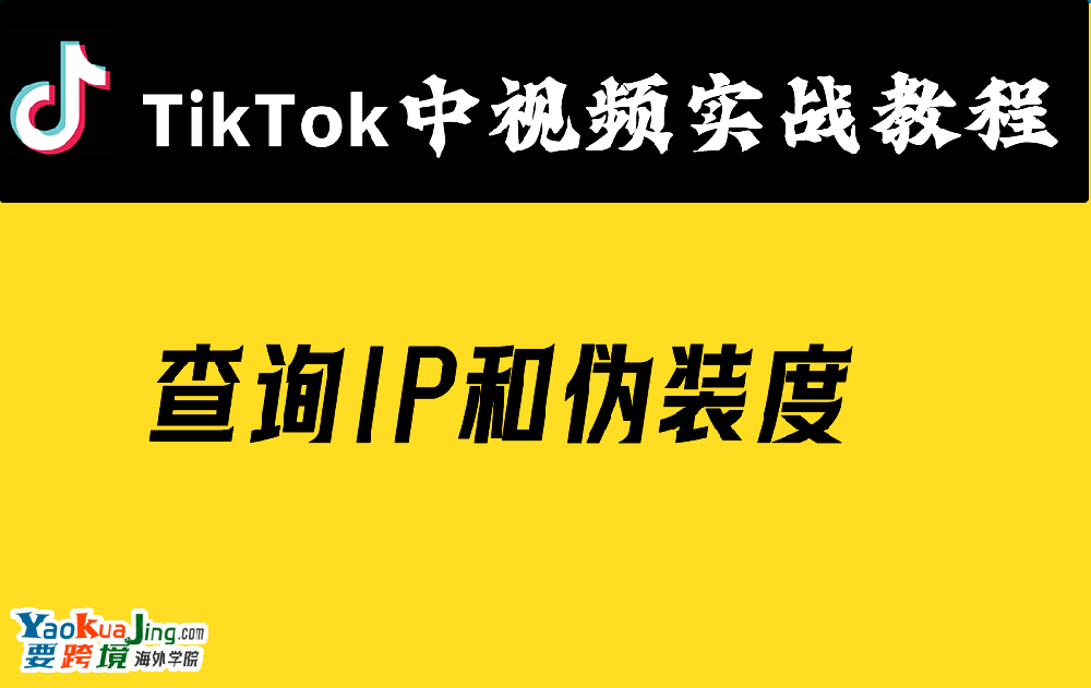 查询IP和伪装度